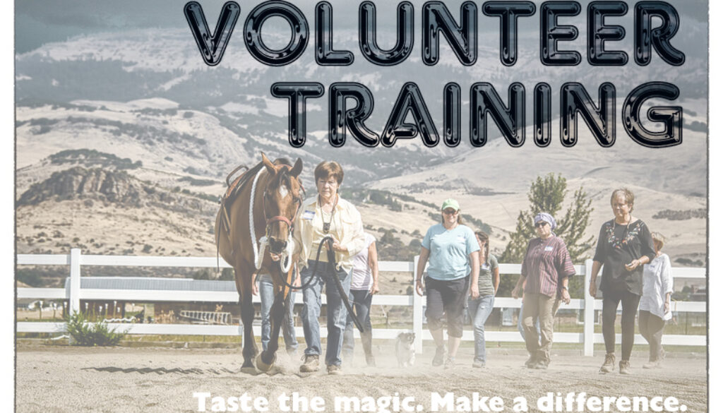 Volunteer Training March 8, 2016