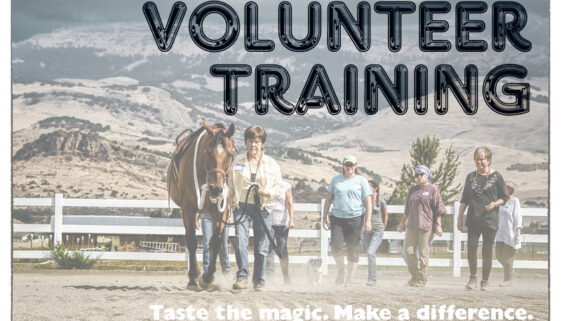 Volunteer Training March 8, 2016