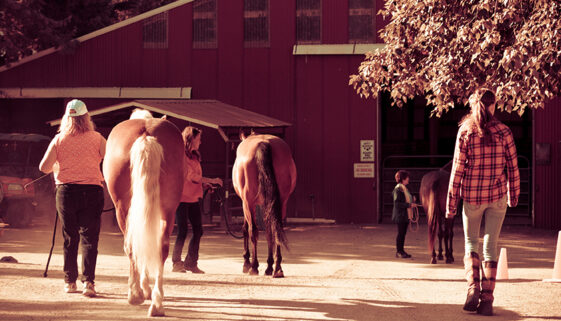 Our First Saturday at Riding Beyond